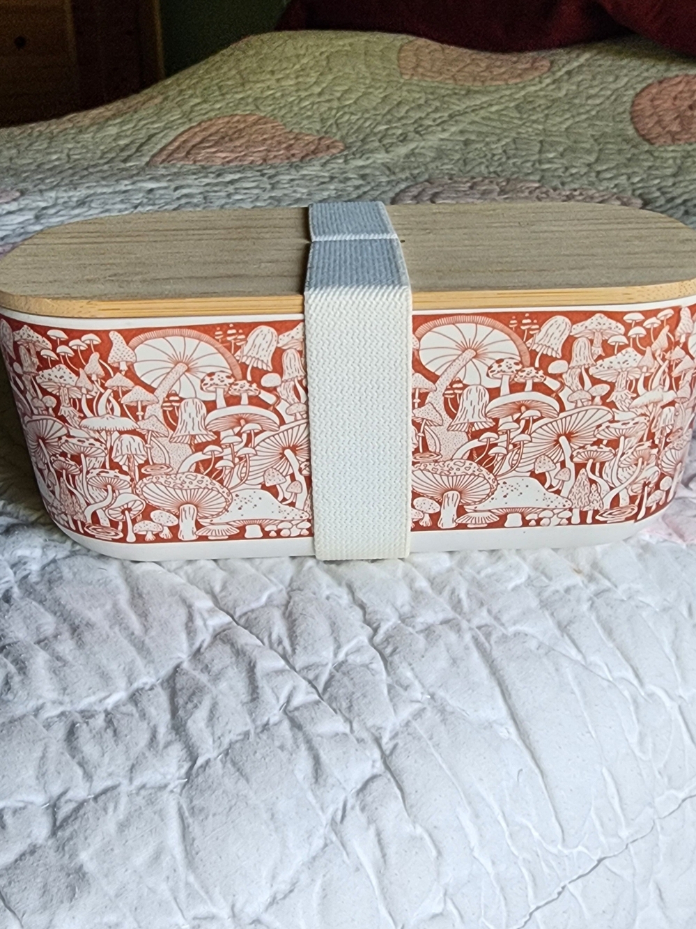 Bento Box Food Storage Container